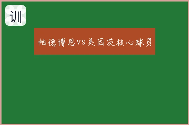 帕德博恩vs美因茨核心球员