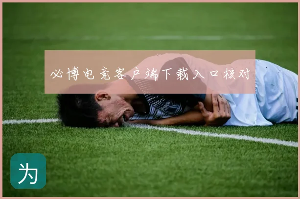 必博电竞客户端下载入口核对